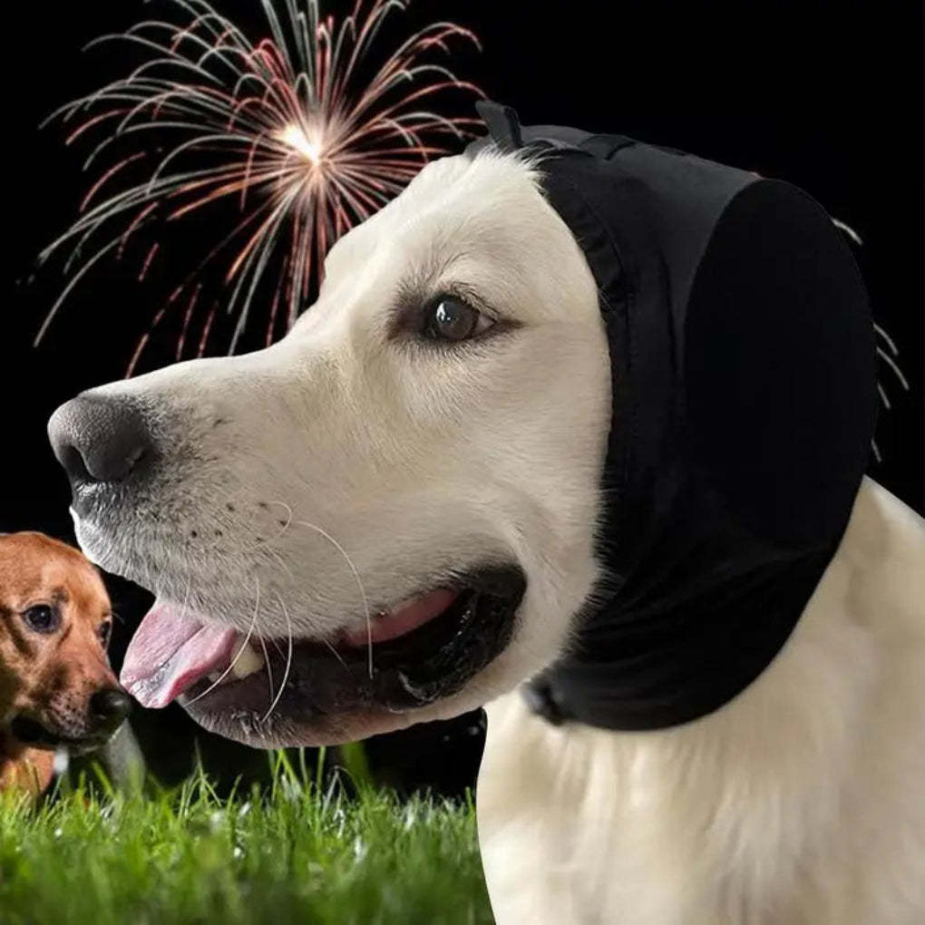 Hundøreklapper til støjreduktion