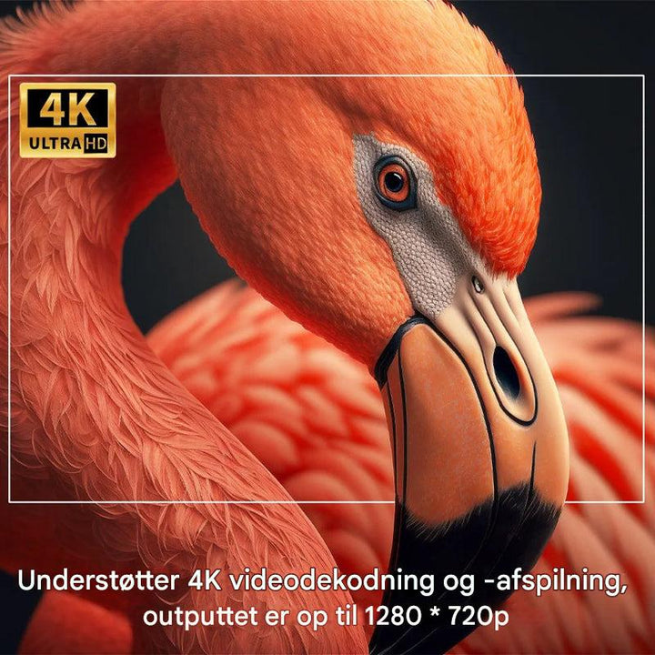 Bærbar udendørs projektor