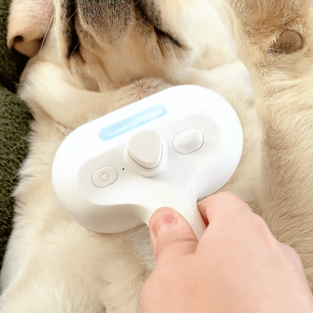 BrushPaw Dampbørste til Hunde