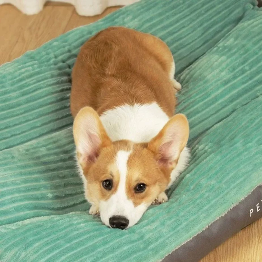 Hundepude til hvile og afslapning