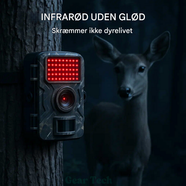 Nattsynskamera til vilde dyr