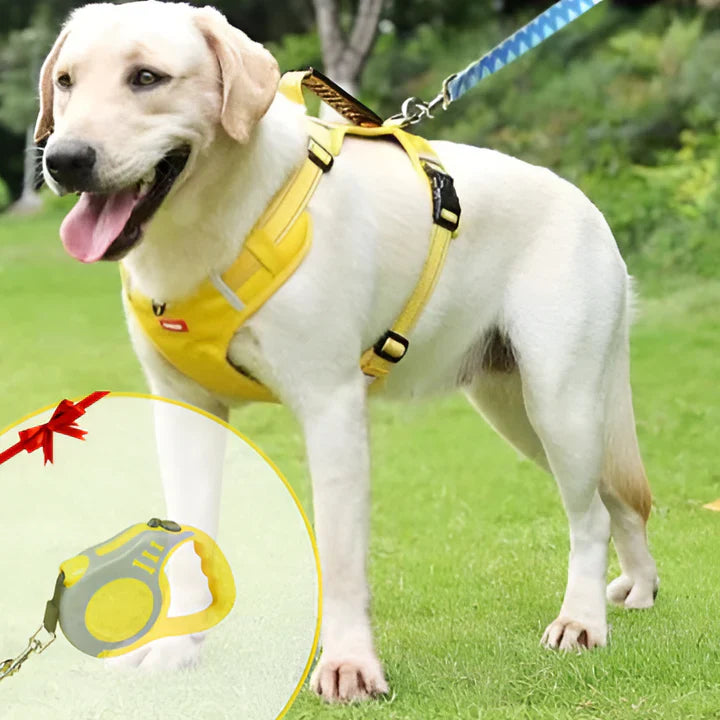 Anti-Træk Dog Sele