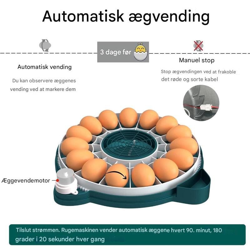 Rugemaskine til 15 æg med automatisk fugtighedskontrol