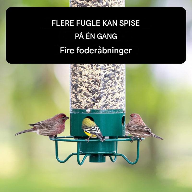 Egernsikker fuglefoderautomat