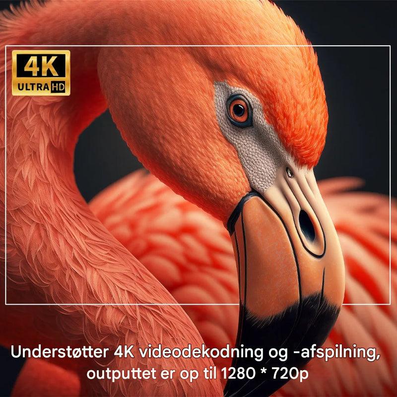 Bærbar udendørs projektor