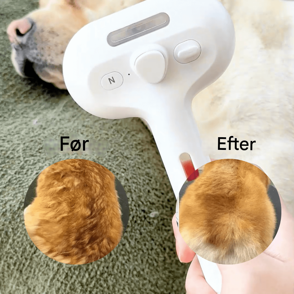 BrushPaw Dampbørste til Hunde